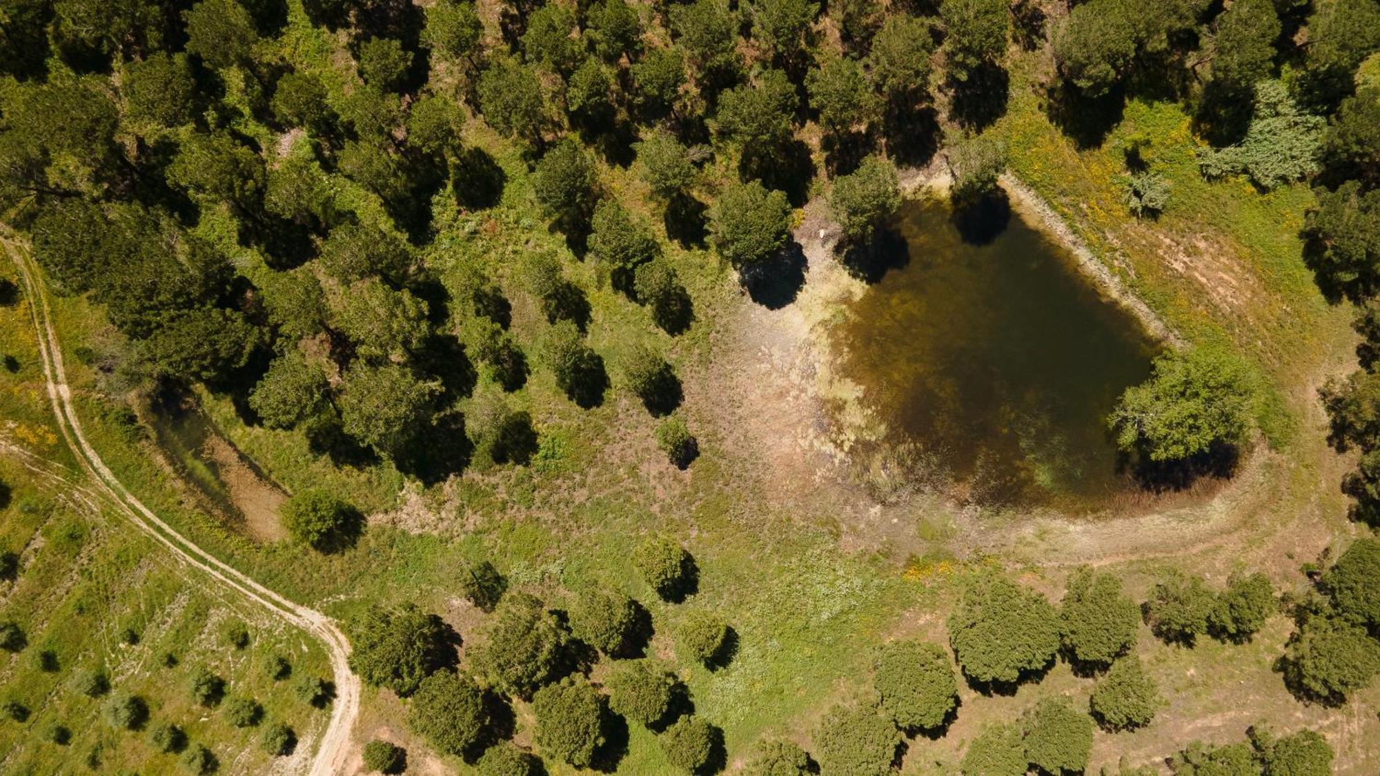 Resort Rural Quinta Do Carrascal Santarém Екстериор снимка